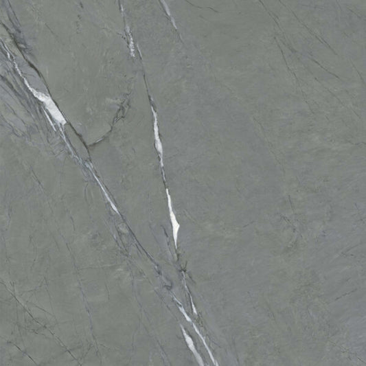 Cardosia in Soil/Natural Tile