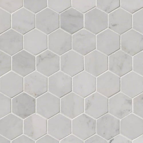 Carrara White in Carrara White - 2 Hexagon Polished