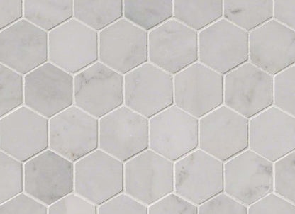 Carrara White in Carrara White - 2 Hexagon Polished
