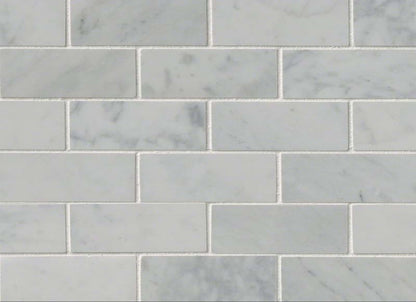 Carrara White in Carrara White - 2x4