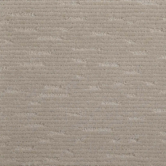 Centerport in Seal Carpet