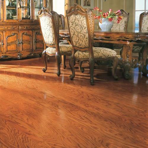 American Journey in Red Oak Gunstock Hardwood