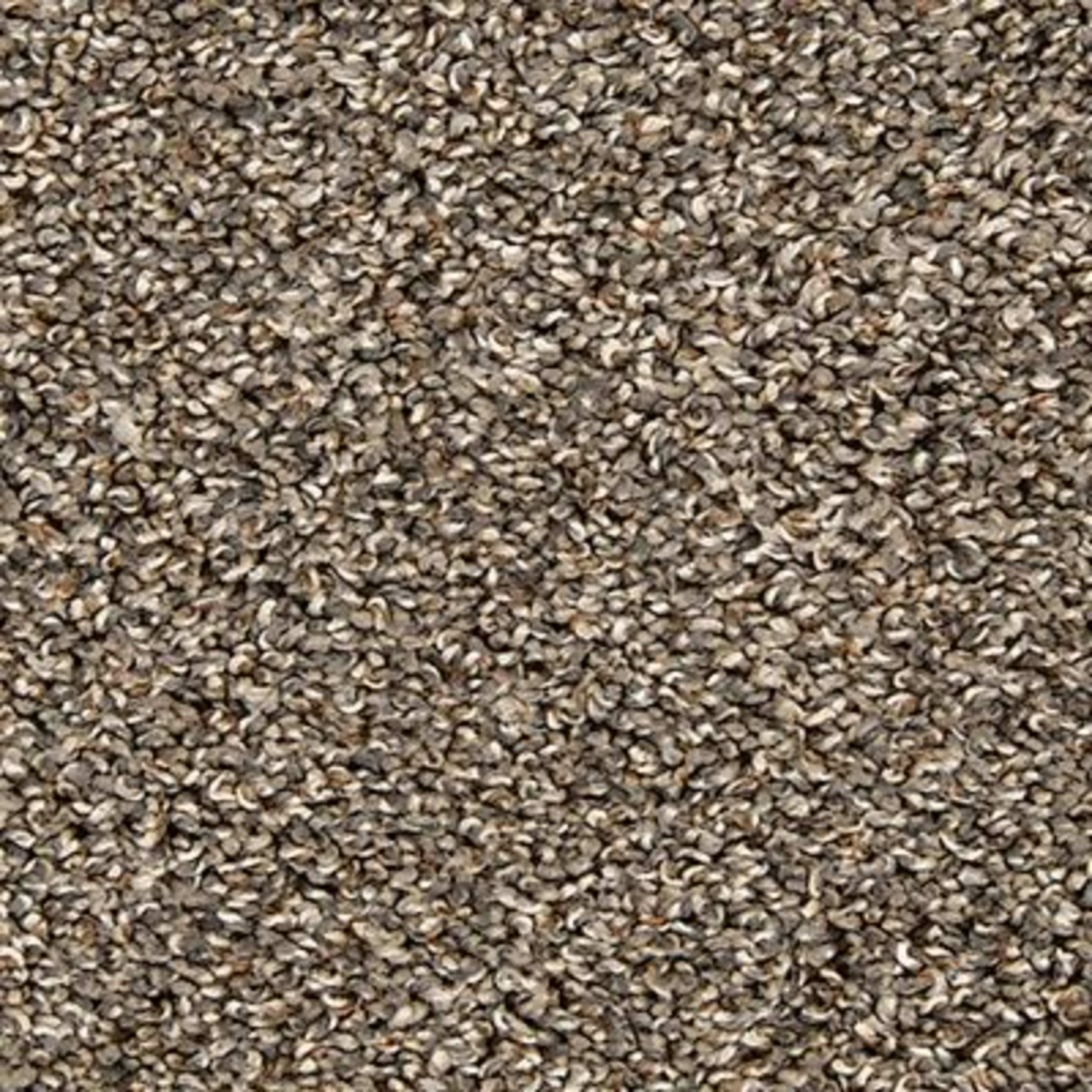 Classic Hues I in Gravity Carpet