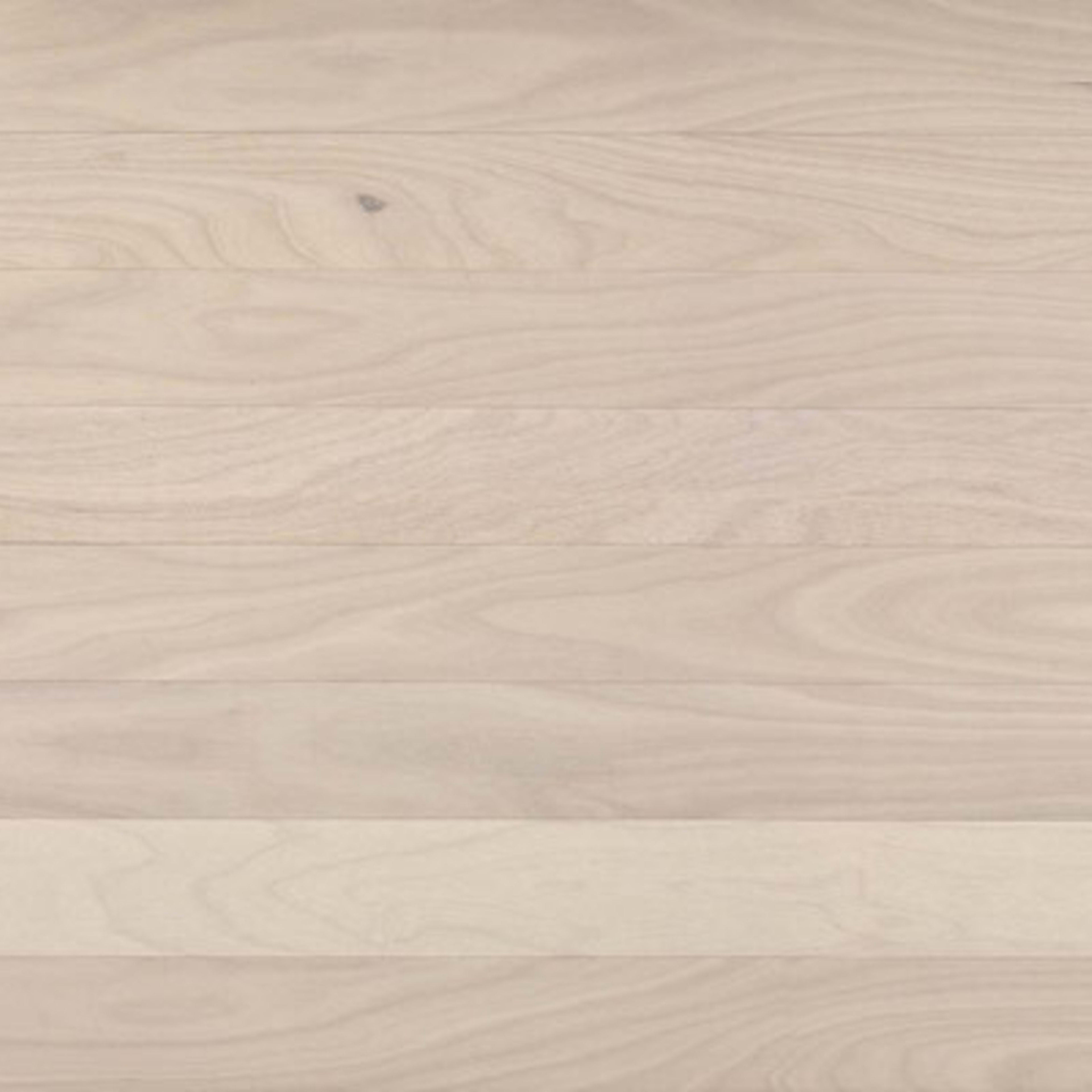 Costa in Ivory Tower Hardwood