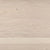 Costa in Ivory Tower Hardwood