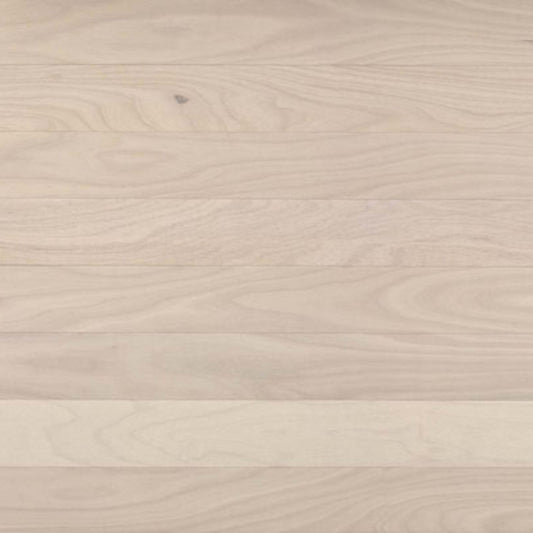 Costa in Ivory Tower Hardwood