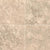 Crema Cappuccino in Crema Cappuccino - 12x12 Natural Stone