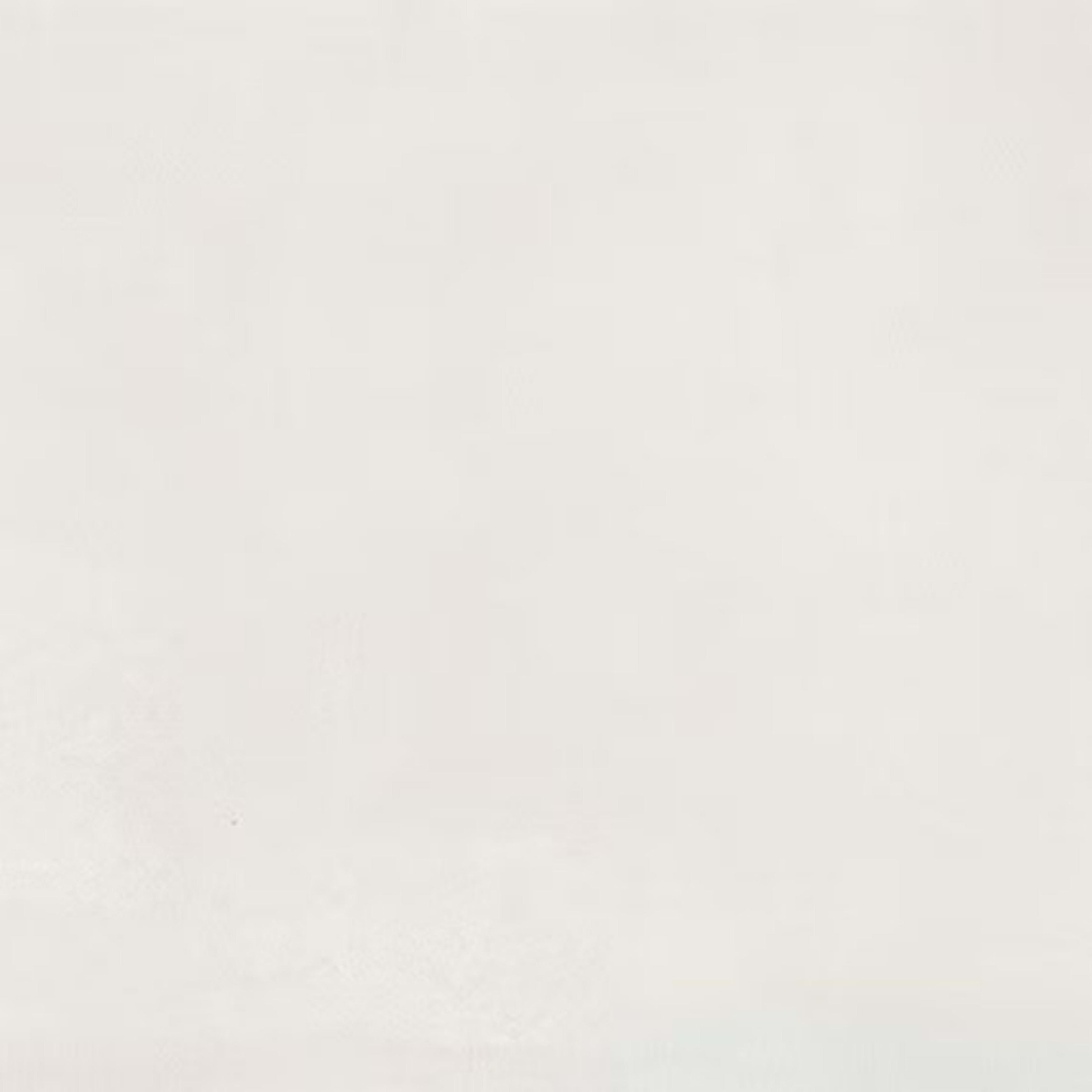 Color Story Floor in Matte Designer White-12x24 Tile