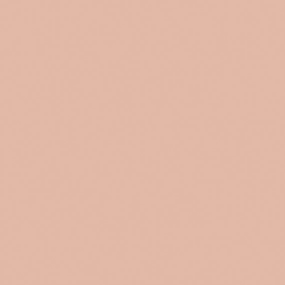 Color Story Wall in Blush-4x16x.375 Tile