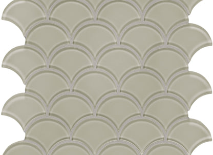 Debut in Foundation Scallop