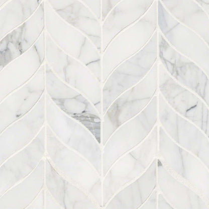 Calacatta Cressa in Calacatta Cressa Leaf Pattern Honed Natural Stone