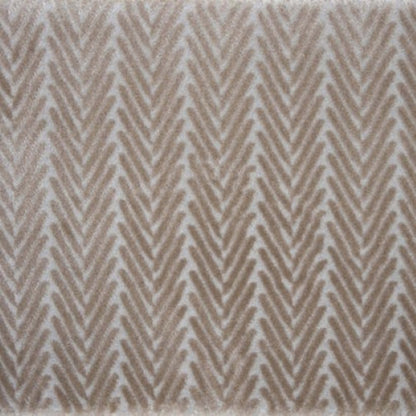Candid in Parchment Carpet