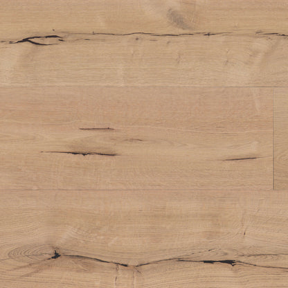 Caspian Sea in Compass Laminate