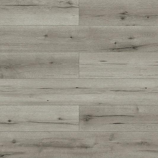 Landmark in Cassini Laminate