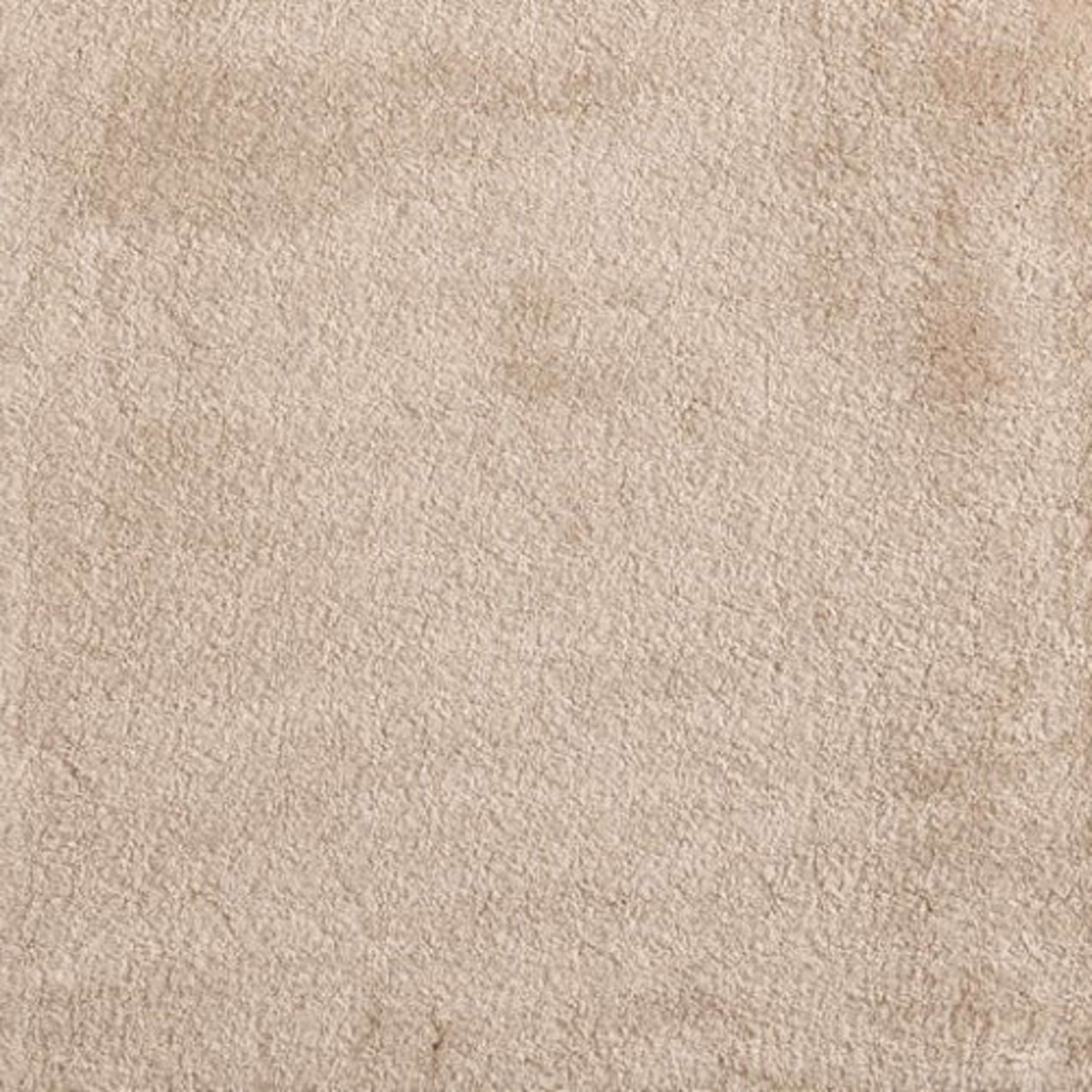 Cha Cha in Khaki Carpet
