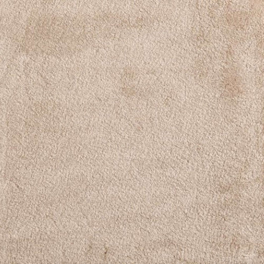 Cha Cha in Khaki Carpet