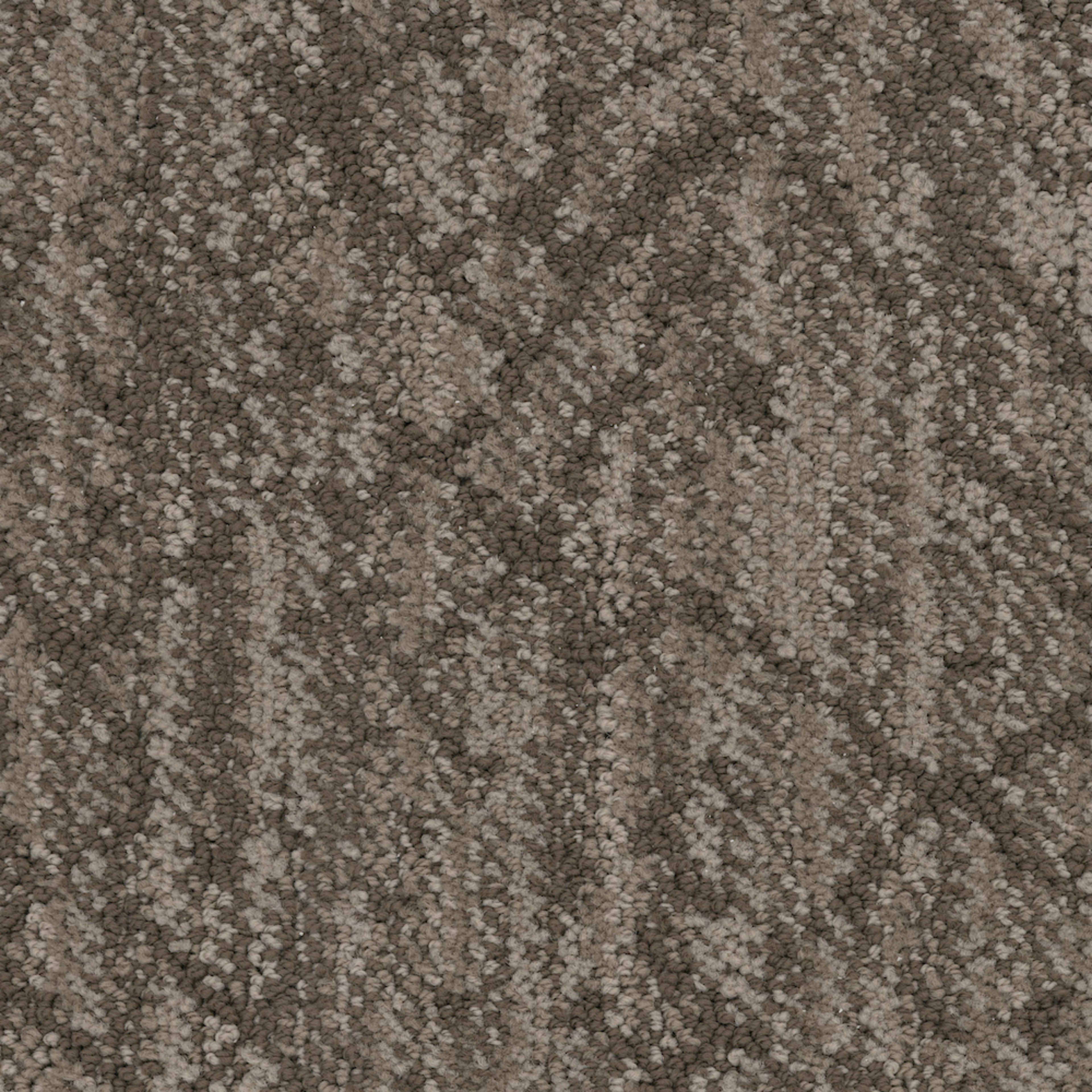 Circuitry in Truffle Carpet
