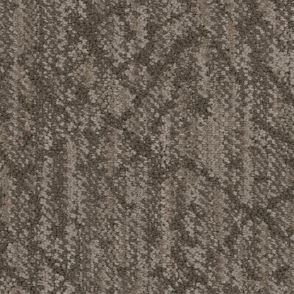 Circuitry in Truffle Carpet
