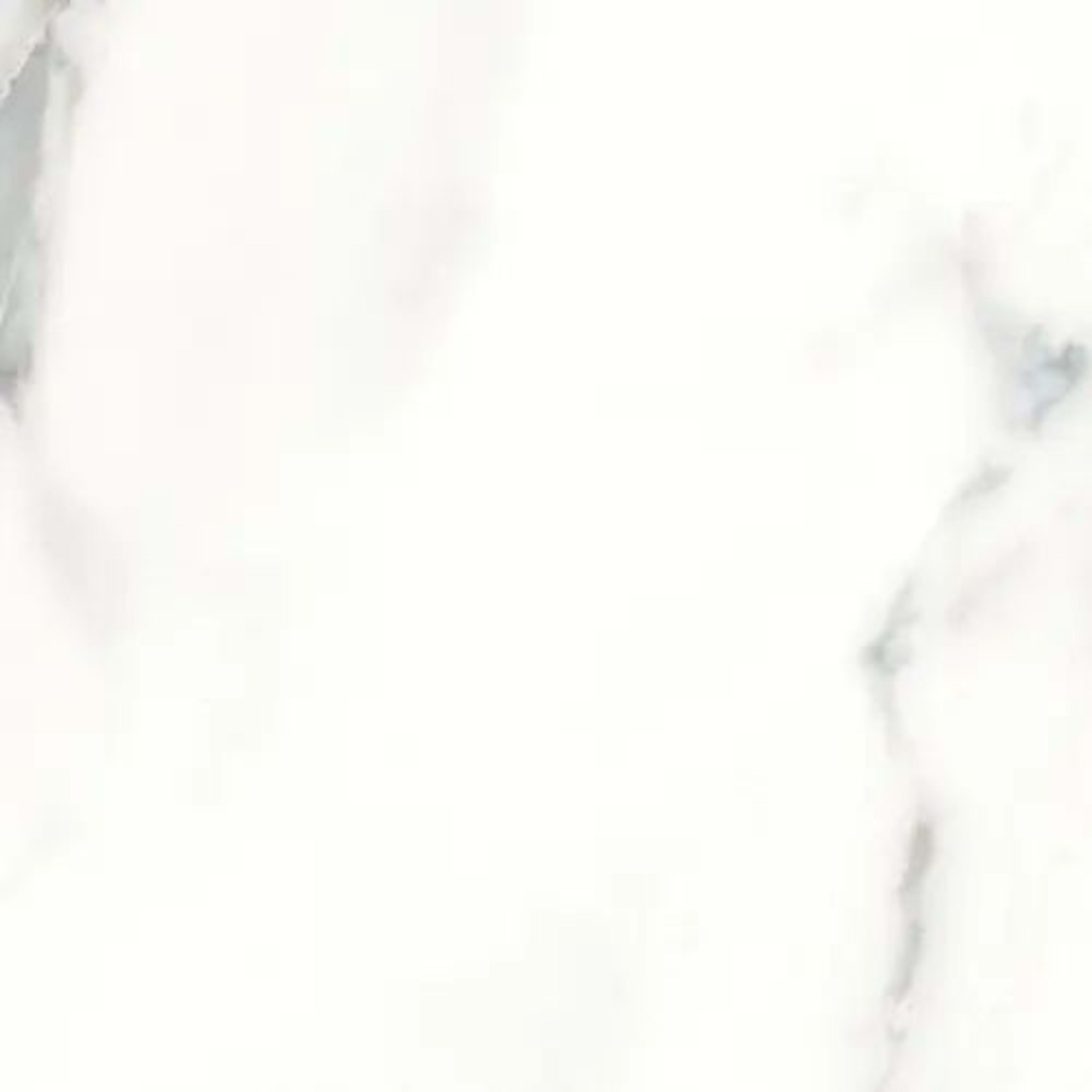 Classic in Calacatta Tile