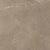 Classic in Pulpis Moca Tile