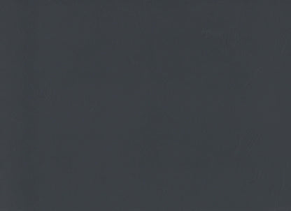 Council in Black 12" X 24" Matte