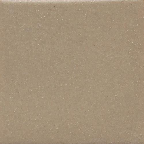 Keystones in Elemental Tan (1) 2x2 Tile