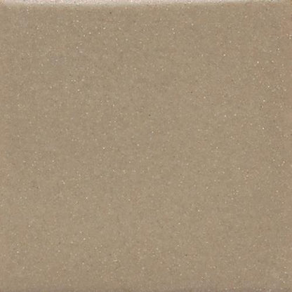 Keystones in Elemental Tan (1) 2x2 Tile
