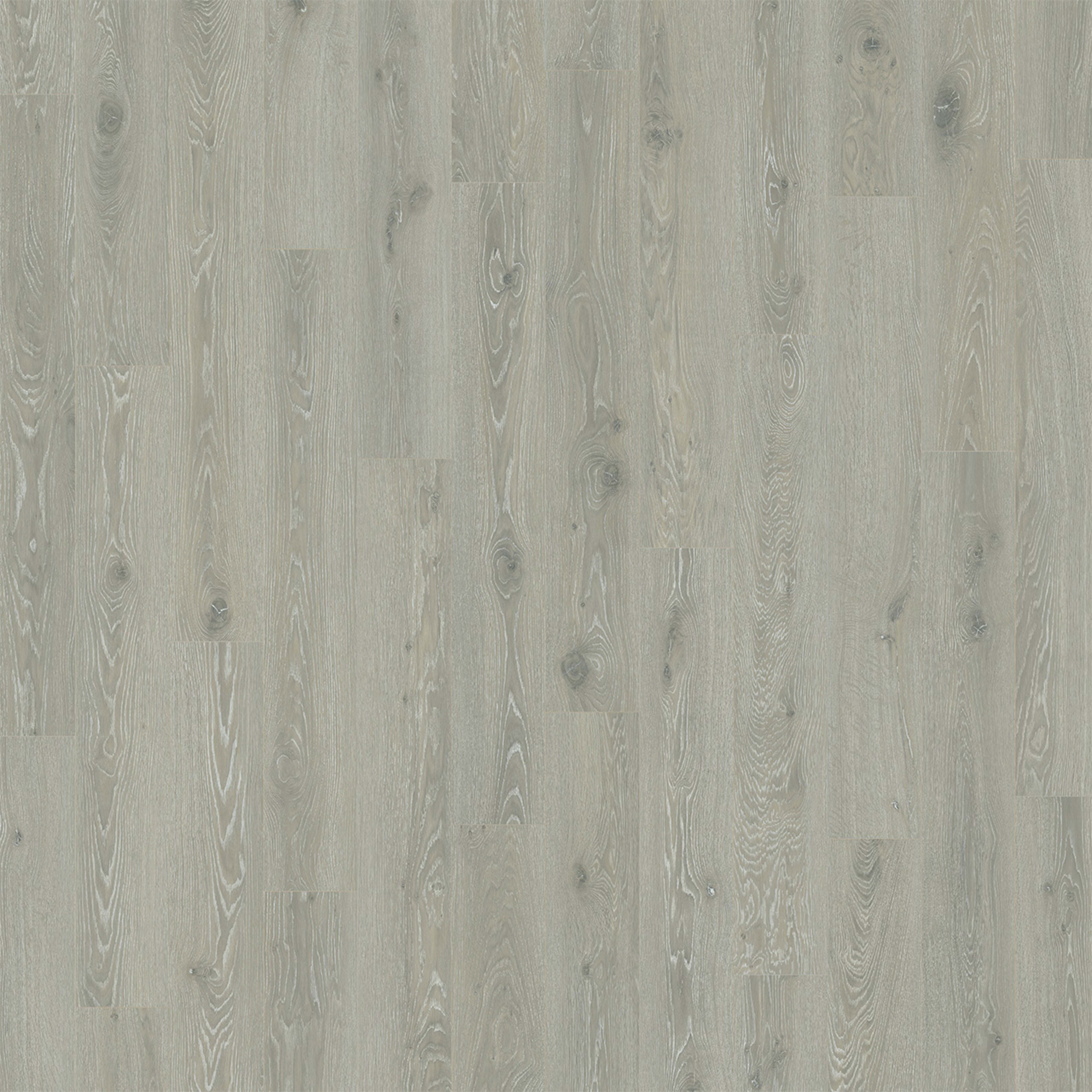 Cultivate in Glacier Peak Luxury Vinyl