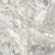 Alterna Gravity in Cream 16" X 16" Luxury Vinyl