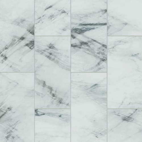 Alterna Veiled Intrigue in Powdered Ash  8 X 16