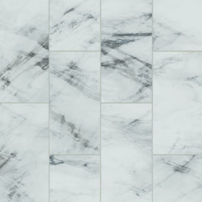 Alterna Veiled Intrigue in Powdered Ash  8 X 16