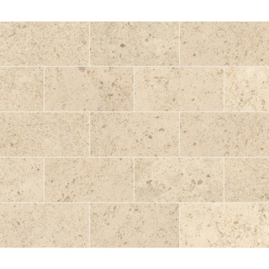 Parksville Stone in Kalahari Beige 3x6 Natural Stone