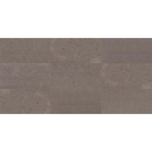 Parksville Stone in Matterhorn  12x24 Natural Stone