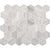 Limestone Collection in Chenille White 12x24 Hexagon Natural Stone