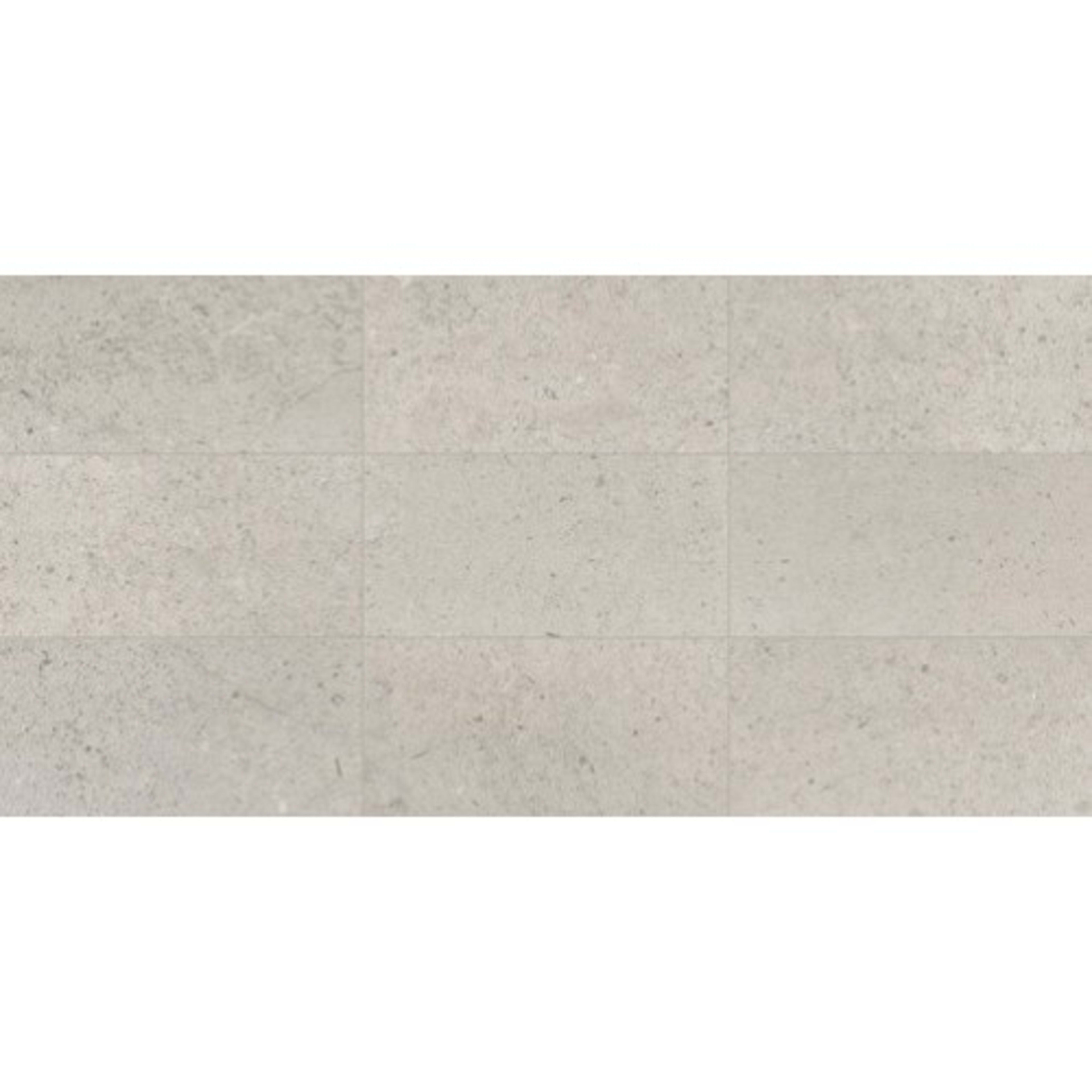 Center City in Delancey Grey 12x24 Honed Natural Stone