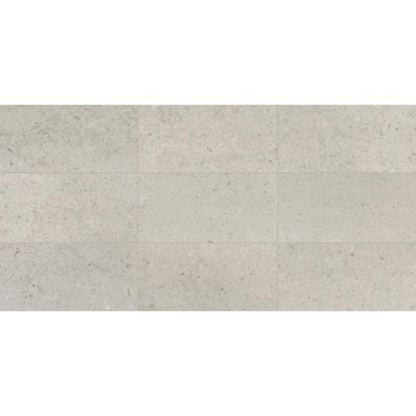 Center City in Delancey Grey 12x24 Honed Natural Stone