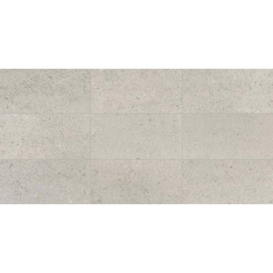Center City in Delancey Grey 12x24 Honed Natural Stone