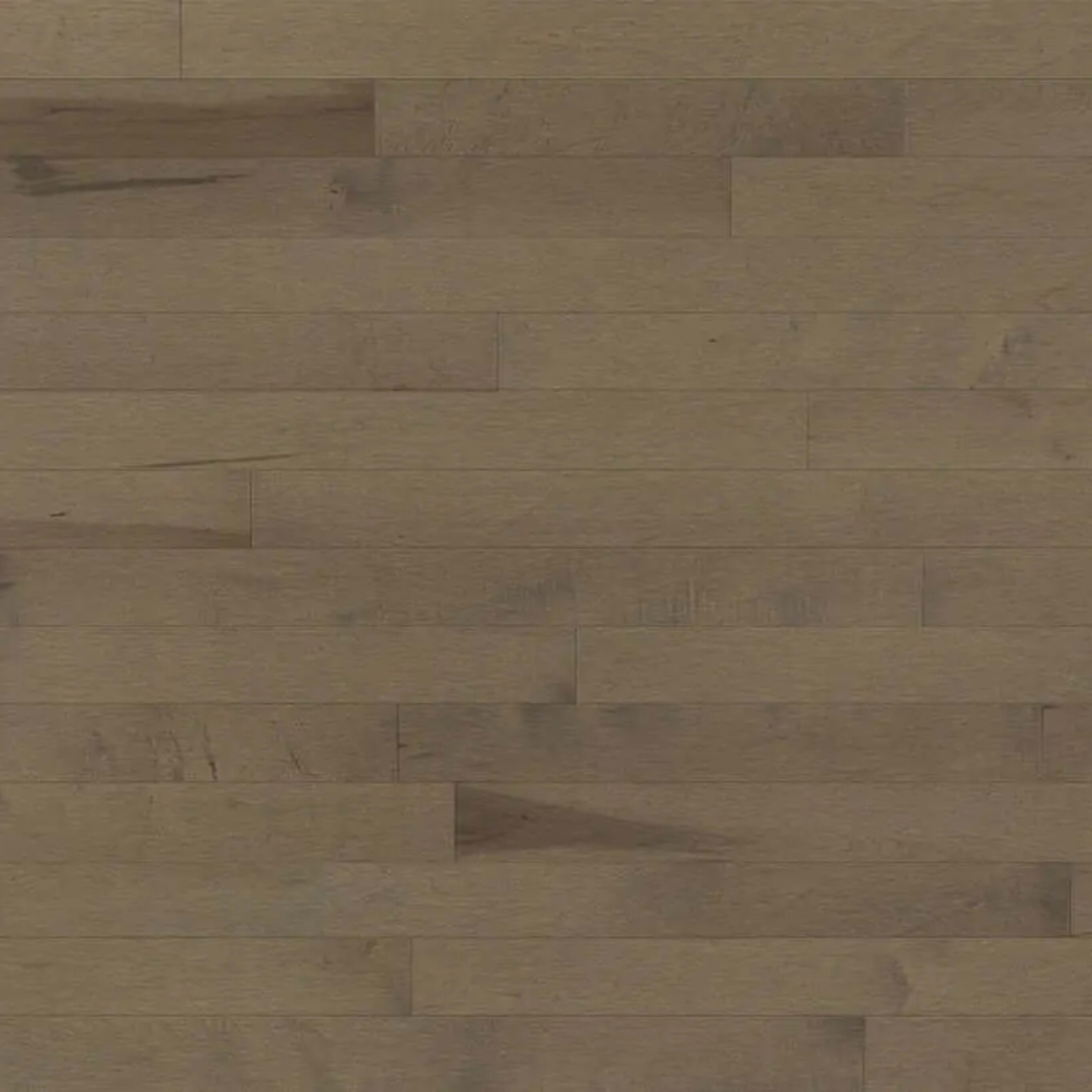 Decor Hard Maple - Engineered in Azaro 5 3/16 Hardwood