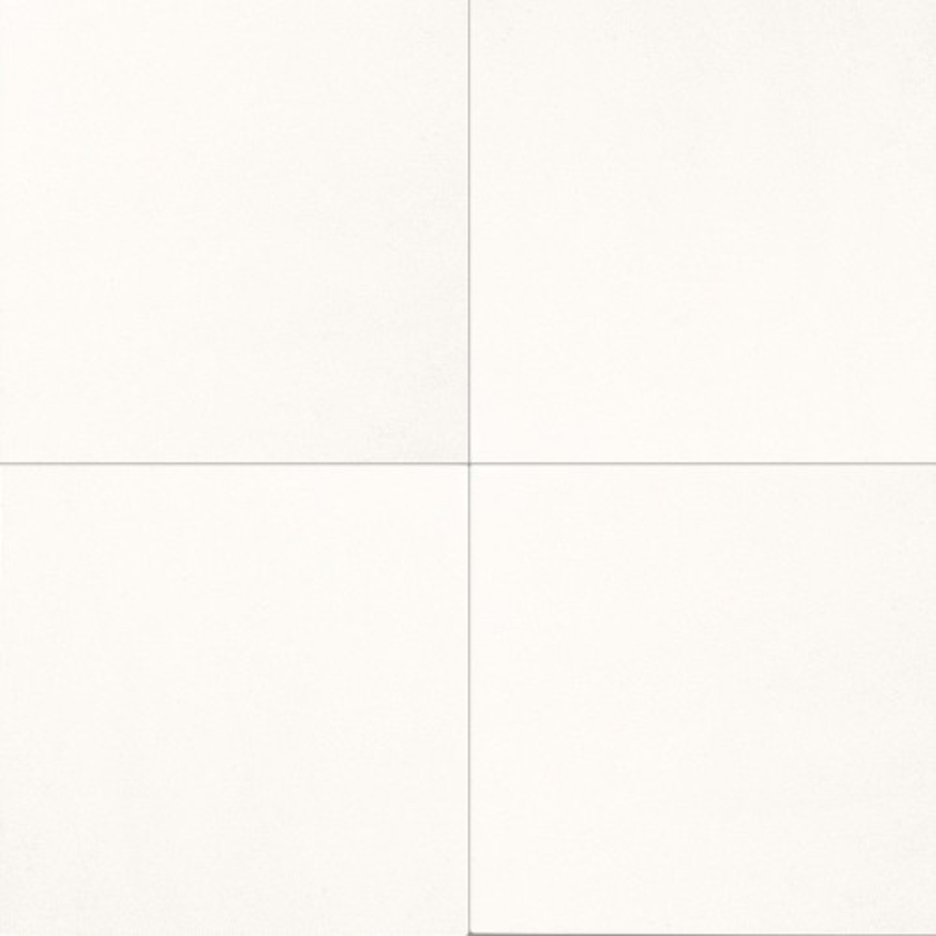 Marble Collection in Thassos White Natural Stone
