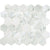 Marble Collection in Carrara White Hexagon 6x6 Natural Stone