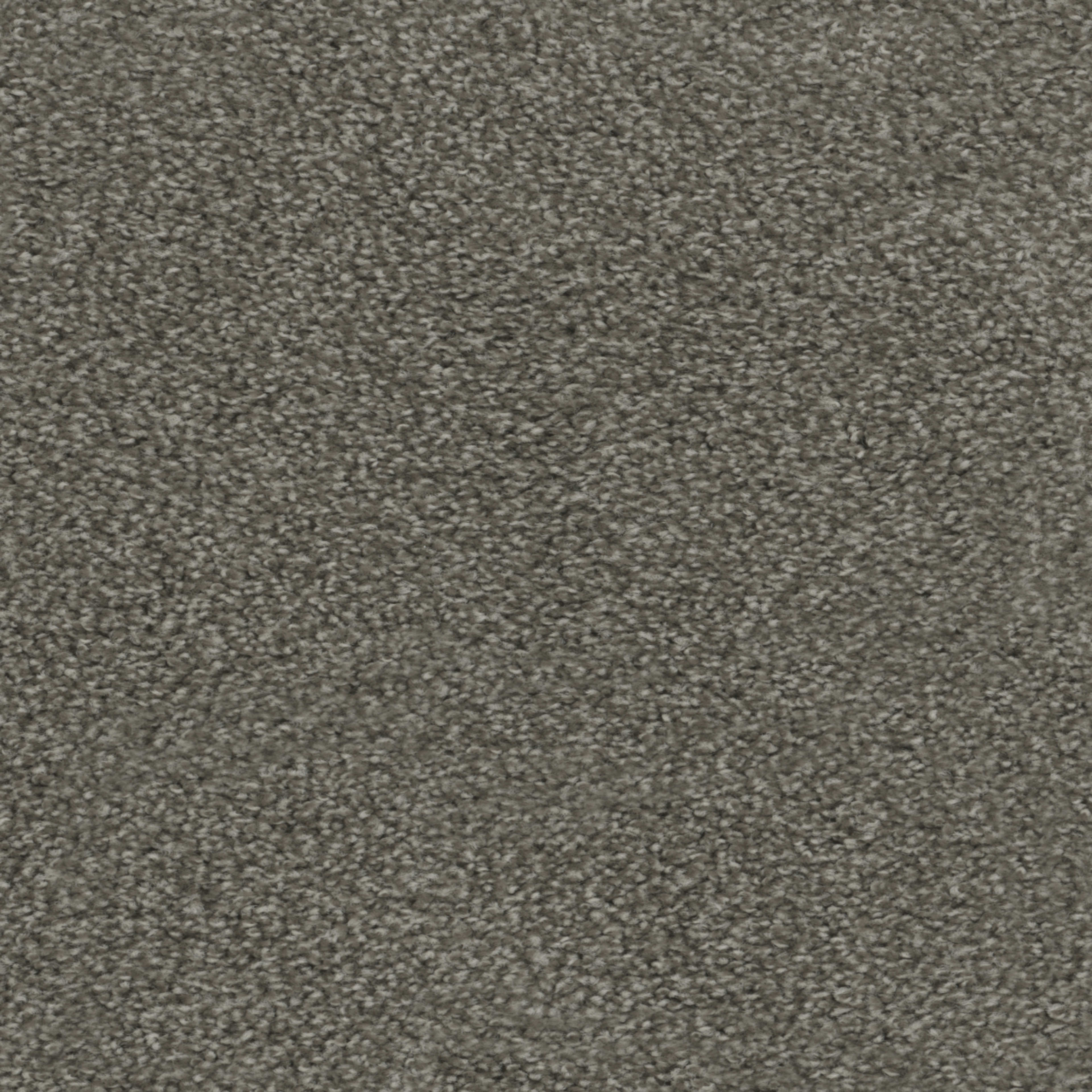 Regal Touch in Wrangler Carpet
