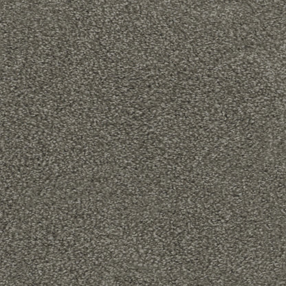 Regal Touch in Wrangler Carpet