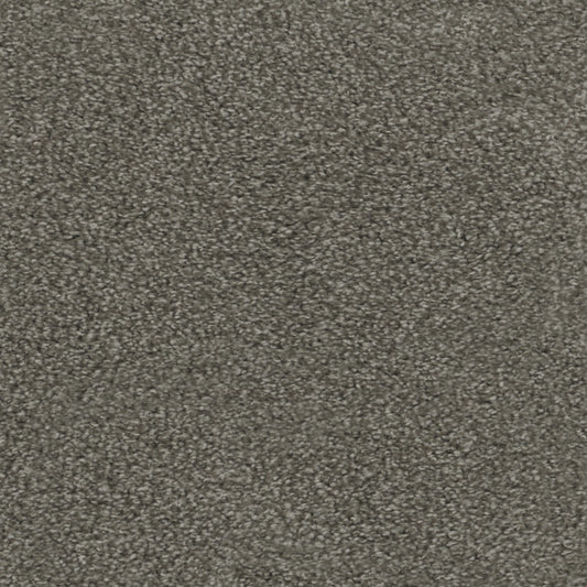 Regal Touch in Wrangler Carpet