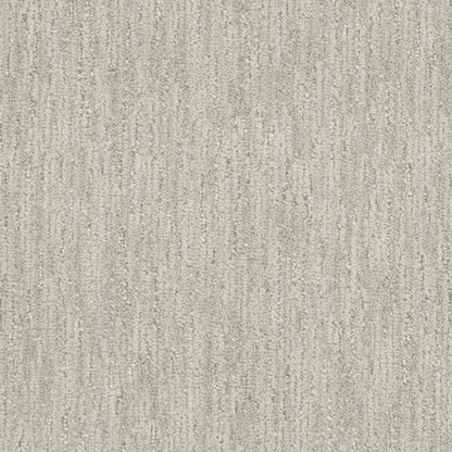 Lewis in Cabo Carpet