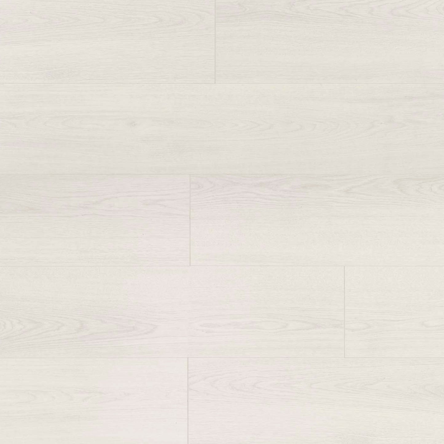 Visions in Darwin Laminate