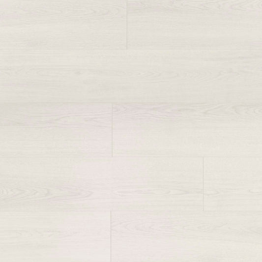 Visions in Darwin Laminate
