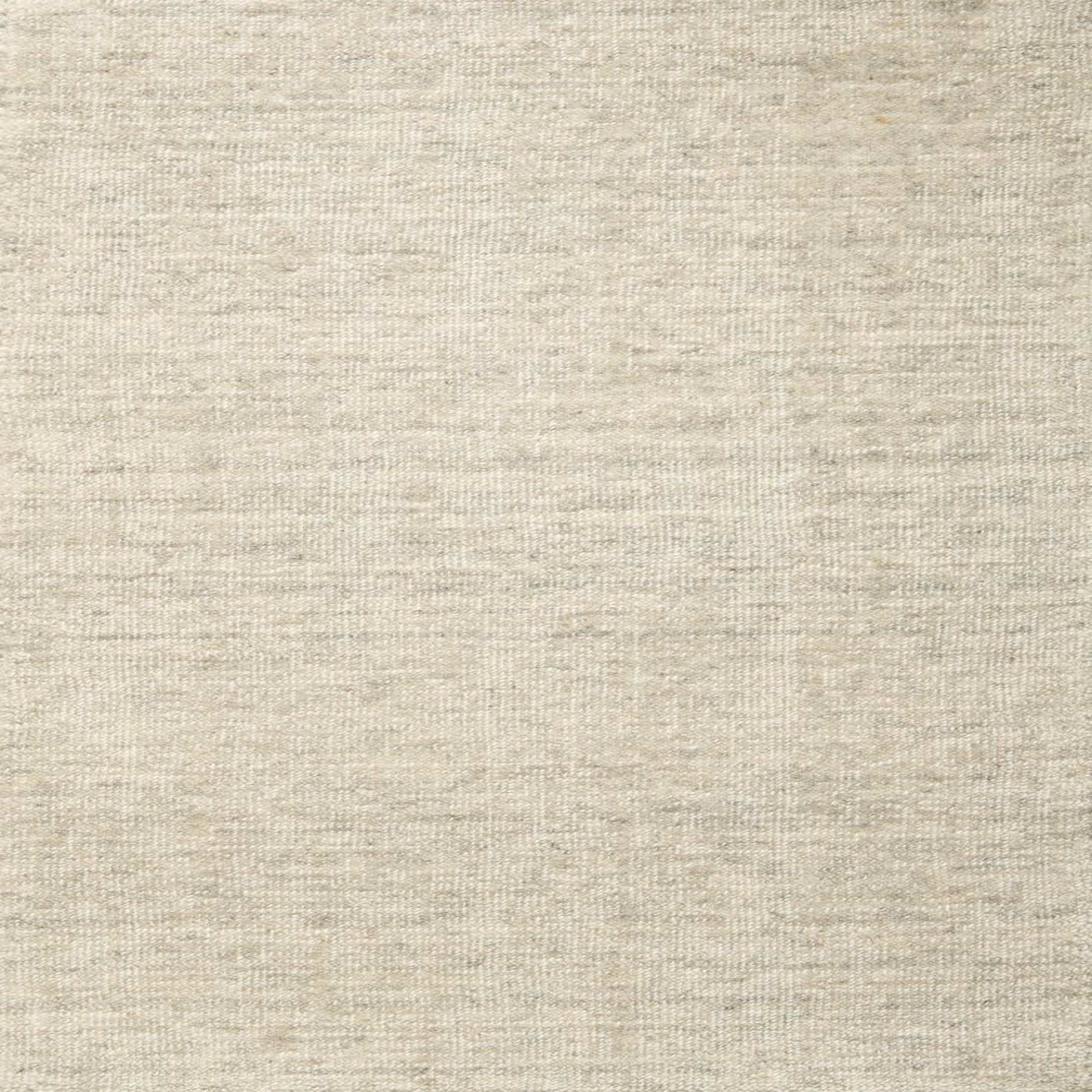 Deva - Platinum in Platinum Area Rugs