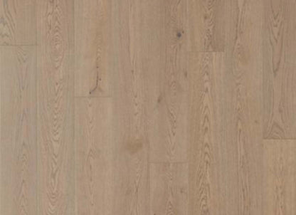 Soho Modesto in Dorian Gray Oak