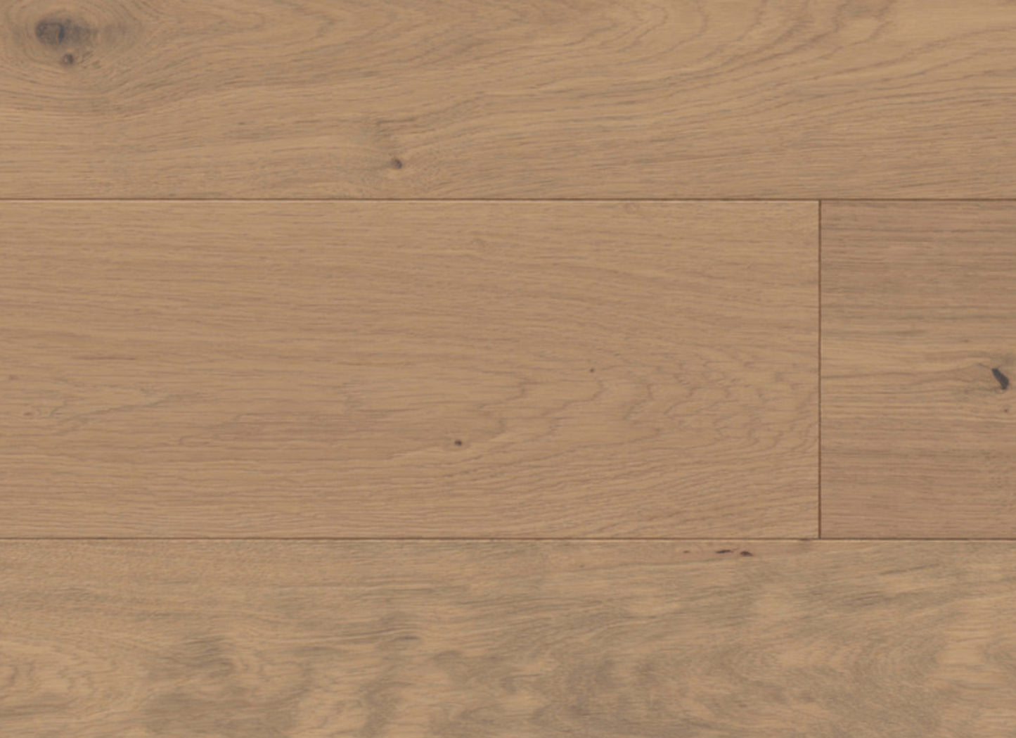 Cambridge in Downing