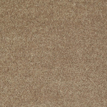 All Star Weekend III 15' in Golden Echoes Carpet